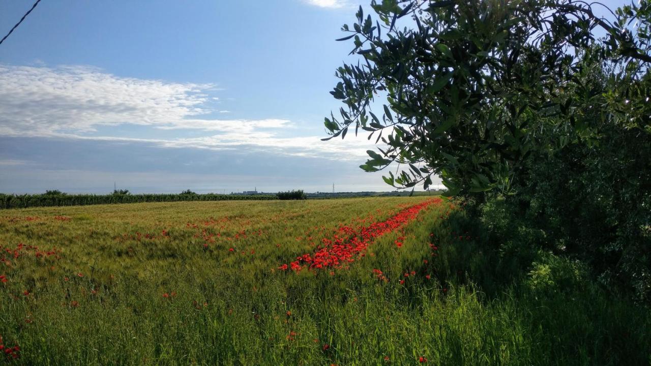 Punta Aderci Rooms Vasto Luaran gambar